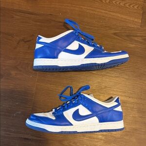 Nike sb dunk Blue and White Sneakers